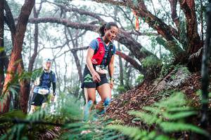 BIB: 
                            <button type="button" onclick="openModal(26295234)" class="btn btn-primary btn-sm float-right btn-popup" data-toggle="modal" data-target=".modal-high-quality">
                        <i class="fas fa-shopping-cart"></i> Add to Cart
                    </button>
                                            <button type="button" onclick="isThisMe(26295234, true)" class="btn btn-success btn-sm float-right btn-popup btn-isme hidden" data-toggle="tooltip" data-placement="bottom" title="นี่คือรูปของคุณใช่ไหม คลิกที่นี่เพื่อเอาเข้าอัลบั้ม">
                        <i class="fas fa-plus"></i> Add to album
                    </button>
                    <button type="button" onclick="isThisMe(26295234, false)" class="btn btn-warning btn-sm float-right btn-popup btn-isnotme hidden">
                        <i class="fas fa-ban"></i> Remove from album
                    </button>